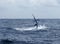 Sailfish saltwater sport fishing jumping