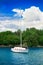 Sailfish yacht near scenic green island