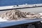 Sailing boat line on the deck of a catamaran