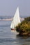 sailing boat of the Nile River sailing beside the shore with a lot of vegetation and a crew member leaning on its side