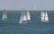 Sailing boat regatta racing