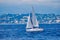 sailing, boat, sailboat, vehicle, sail, dinghy sailing, sea