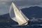 A sailing boat sailing in strong wind and on the rough sea racing in Bodrum, Turkey
