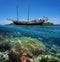 Sailing boat stranded on reef with fish and coral