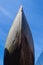 Sailing Boat Wood Hull Detail