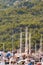 Sailing boats in a luxury marina in front of a forested mountain