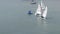 Sailing boats by professional athletes practicing drills at Cascais Bay, Portugal