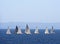 Sailing Boats Race