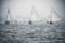 Sailing boats regatta with white sails