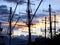 Sailing boats silhouetted by sunset