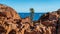 sailing boats view from cap roux hiking trail In the red rocks of the Esterel mountains with the blue sea of the Mediterranean