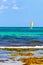Sailing boats yachts ship jetty Playa del Carmen beach Mexico