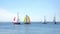 Sailing. Catamarans with colorful sails in open sea. Sports competitions on high seas. Regatta. Moving in wind on a