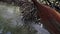 Sailing down the river through the tropical mangrove vegetation