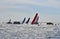 The Sailing Fleet On The Horizon Volvo Ocean Race Alicante 2017