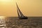 Sailing on the IJsselmeer in the Netherlands