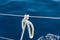 Sailing knot with white sailing rope