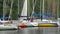 Sailing marina, moored yachts and sailboats, luxurious lifestyle