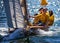 Sailing an old wooden skiff in Sydney