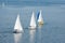 Sailing race on the Dnepr river during city yacht club championship