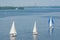 Sailing race on the Dnepr river during city yacht club championship