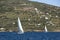 Sailing regatta at Aegean off the coast the Greek islands.