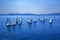 Sailing regatta, group of small water racing boats in Mediterranean, panoramic view with blue mountains on horizon on toning in cl