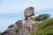 Sailing Rock,similan island national park