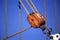 Sailing ship ropes and pulley