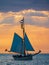 Sailing ship and seagull on the Baltic Sea in Warnemuende, Germany