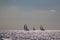 Sailing ship yachts with white sails in race the regatta in the open sea