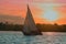 Sailing into the sunset. Sailboats regatta