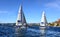 Sailing Sydney on America\'s Cup Yachts