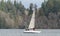 Sailing In Winter On Budd Inlet, Puget Sound, Olympia Washington