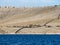 Sailing on a yacht along an island village in Croatia, farming alone on an empty desert island, Kornati national park