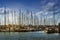 Sailing yacht harbor with many sailboats in the evening light ag