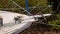 Sailing Yacht Moored Amongst River Mangroves