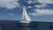 Sailing yacht race. Luxury yachts. Boats in sailing regatta. Sailing ship yachts with white sails.