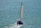 Sailing yacht in the wind in Miami beach south Florida