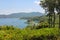 Sailing yachts in Tyrrhenian Sea on Elba Island, Italy