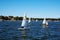 Sailings on Parramatta River @ Sydney Australia