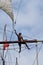 Sailor climbs the mast