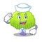 Sailor isolated weeping willow on the mascot