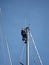 Sailor mounted on the mast of his boat in the port of LÃ©guÃ© side PlÃ©rin