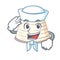Sailor ricotta cheese icon in character cartoon