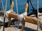 Sails ropes pulley sailing background image