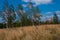 Saint Basil`s Cathedral, Spasskaya Tower, yellow steppe grass an