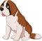 Saint Bernard dog breed