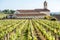 Saint Emilion vineyards in France