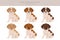 Saint German Pointer puppies clipart. All coat colors set. All dog breeds characteristics infographic